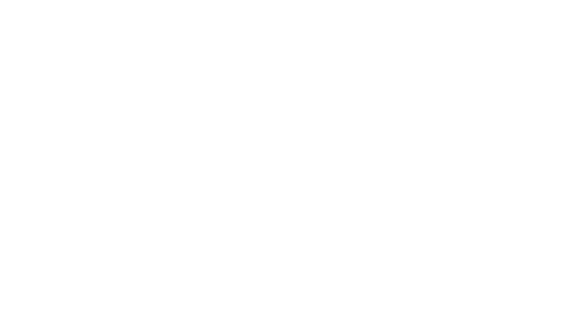 Chartered Accountants Australia and New Zealand